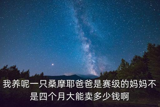 我養呢一只桑摩耶爸爸是賽級的媽媽不是四個月大能賣多少錢啊