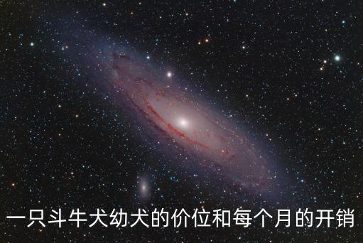 一只斗牛犬幼犬的價位和每個月的開銷