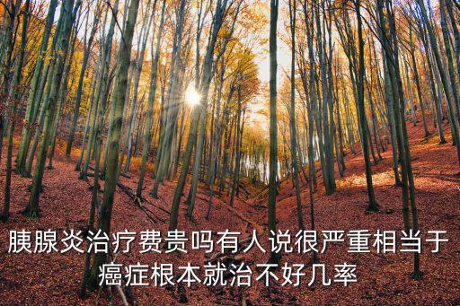 胰腺炎治療費貴嗎有人說很嚴重相當于癌癥根本就治不好幾率