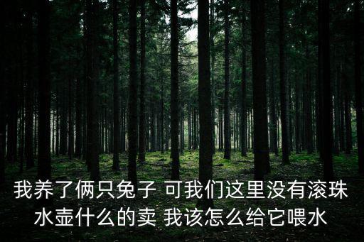 我養(yǎng)了倆只兔子 可我們這里沒有滾珠水壺什么的賣 我該怎么給它喂水