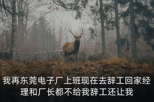 我再東莞電子廠上班現(xiàn)在去辭工回家經(jīng)理和廠長(zhǎng)都不給我辭工還讓我