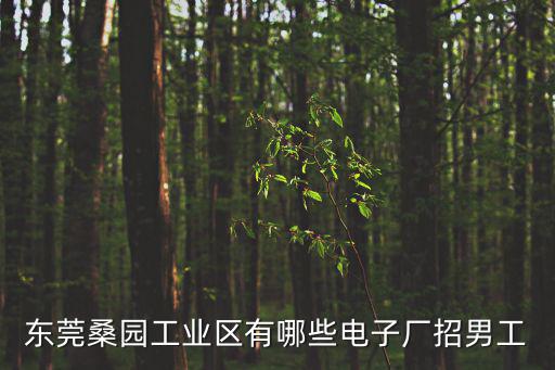 東莞桑園工業區有哪些電子廠招男工