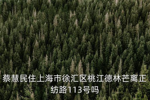 蔡慧民住上海市徐匯區(qū)桃江德林芒離正紡路113號(hào)嗎