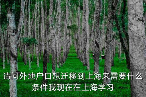 請問外地戶口想遷移到上海來需要什么條件我現(xiàn)在在上海學(xué)習(xí)