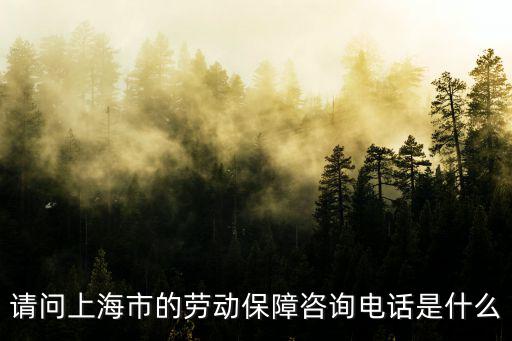 上海市勞動仲裁的電話，上海勞動局電話多少