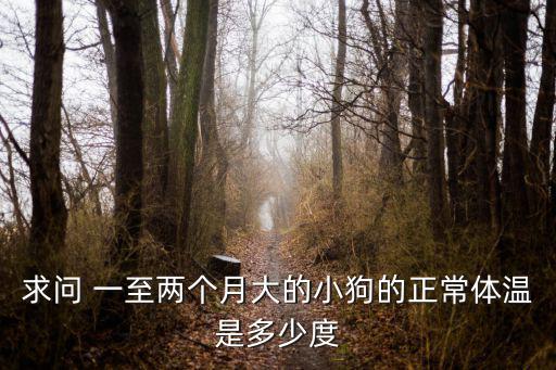 求問 一至兩個月大的小狗的正常體溫是多少度