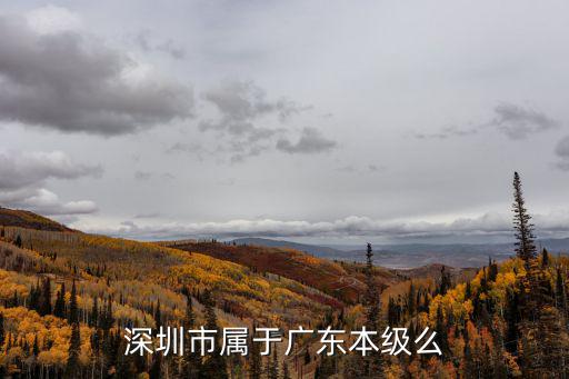 深圳還是一級響應嗎，深圳市屬于廣東本級么