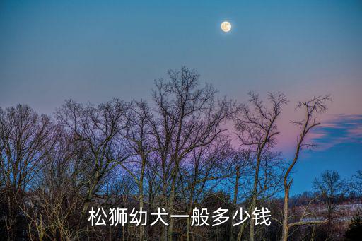 松獅幼犬一般多少錢