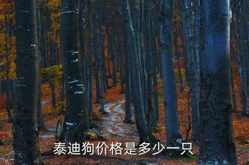 泰迪狗價格是多少一只