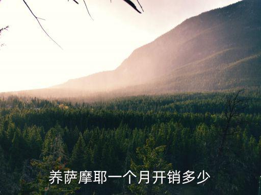養薩摩耶一個月開銷多少