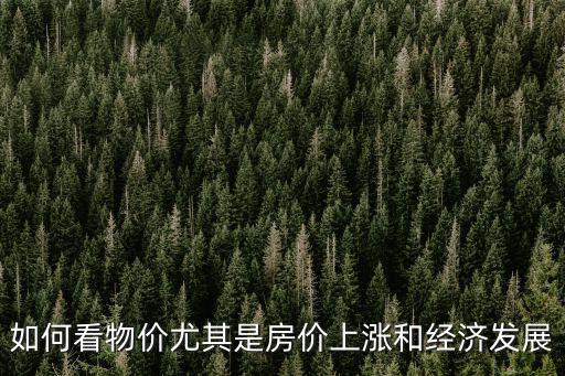 如何看物價尤其是房價上漲和經濟發展