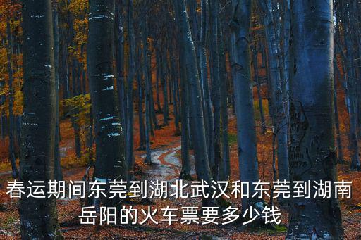 春運期間東莞到湖北武漢和東莞到湖南岳陽的火車票要多少錢