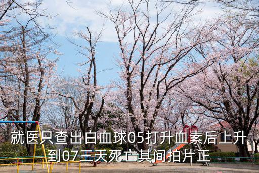 就醫只查出白血球05打升血素后上升到07三天死亡其間拍片正