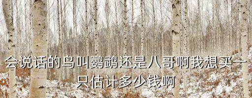 會說話的鳥叫鸚鵡還是八哥啊我想買一只估計多少錢啊
