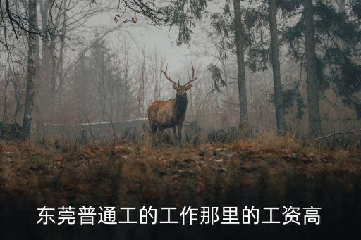 東莞普通工的工作那里的工資高