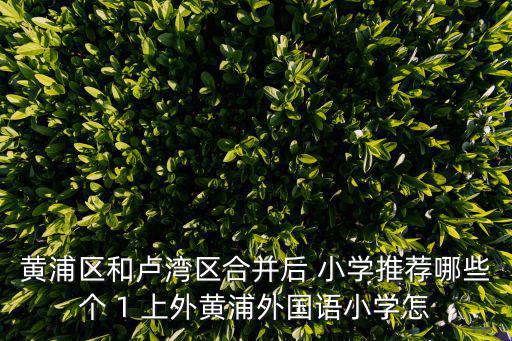 上海市黃浦上外，黃浦區和盧灣區合并后 小學推薦哪些個 1 上外黃浦外國語小學怎