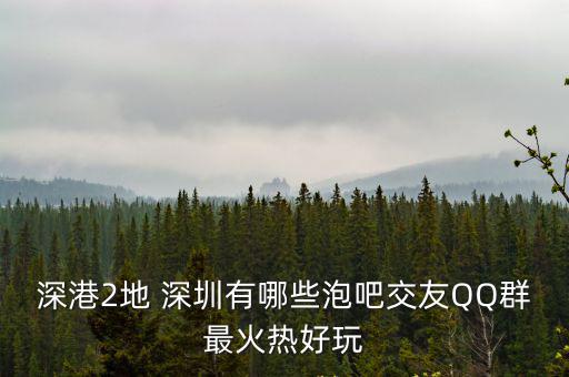深圳群派，深港2地 深圳有哪些泡吧交友QQ群最火熱好玩