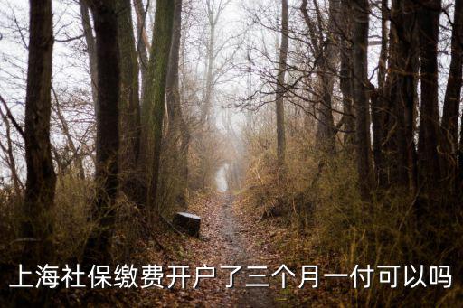 上海社保繳費開戶了三個月一付可以嗎
