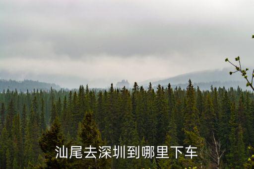 汕尾去深圳到哪里下車