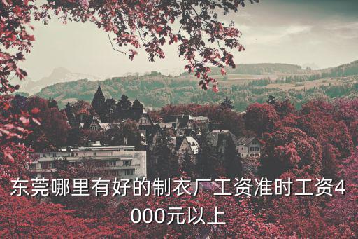 東莞哪里有好的制衣廠工資準(zhǔn)時(shí)工資4000元以上