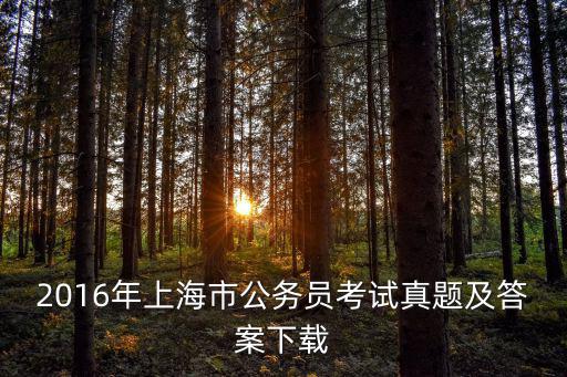 2016年上海市公務(wù)員考試真題及答案下載