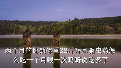 兩個月的比熊體重38斤拜耳驅蟲藥怎么吃一個月喂一次嗎聽說吃多了