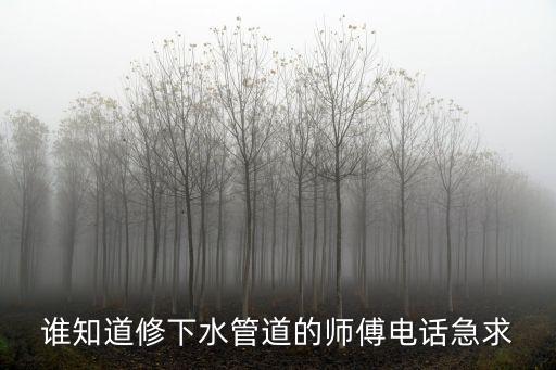 誰知道修下水管道的師傅電話急求