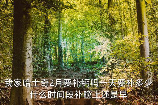 我家哈士奇2月要補鈣嗎一天要補多少什么時間段補晚上還是早