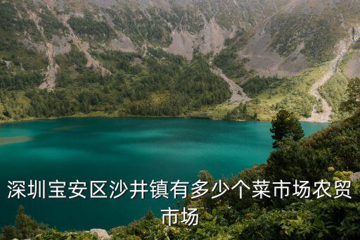 深圳寶安區沙井鎮有多少個菜市場農貿市場
