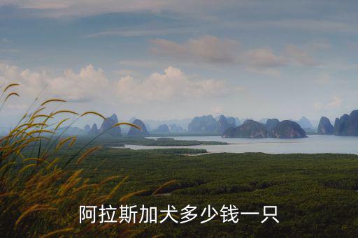 阿拉斯加犬多少錢一只