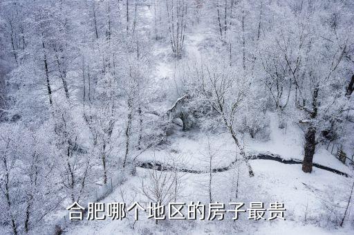 合肥哪個地區(qū)的房子最貴