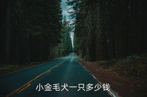 小金毛犬一只多少錢