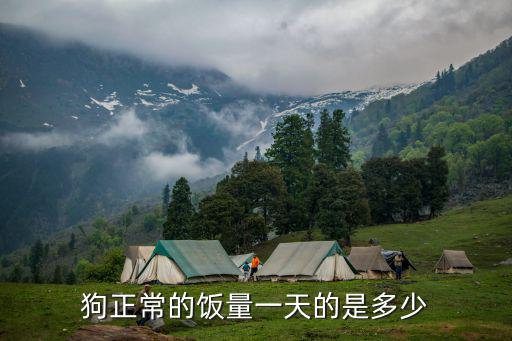 狗正常的飯量一天的是多少