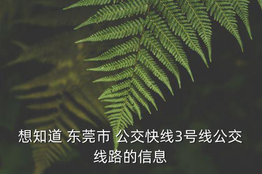 想知道 東莞市 公交快線3號線公交線路的信息