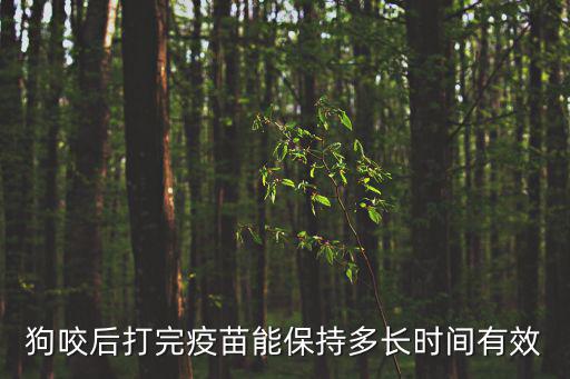 打了狂犬疫苗后能頂多少天，注射狂犬疫苗后能保持有效多久