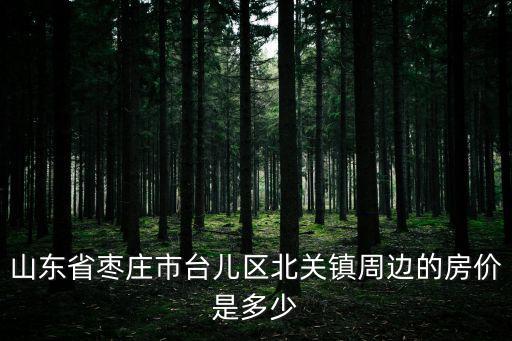 山東省棗莊市臺兒區北關鎮周邊的房價是多少