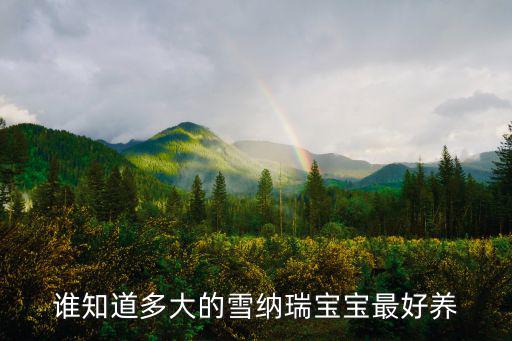 誰知道多大的雪納瑞寶寶最好養