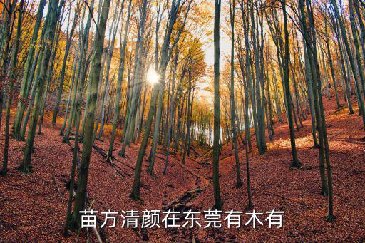 苗方清顏在東莞有木有