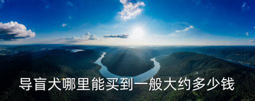 導(dǎo)盲犬哪里能買到一般大約多少錢