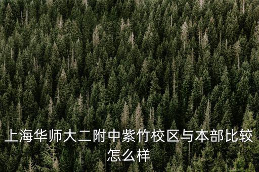 上海華二紫竹國際學(xué)校，女兒讀高一想讓出國發(fā)展不知道上海哪家國際學(xué)校好