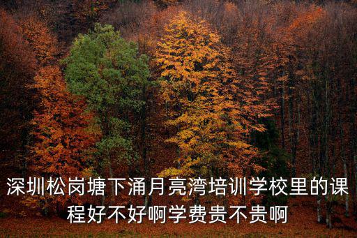 深圳松崗塘下涌月亮灣培訓學校里的課程好不好啊學費貴不貴啊