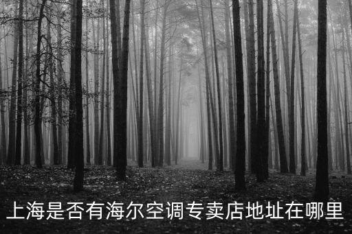上海市海爾電器賣場，上海有海爾專賣店嗎