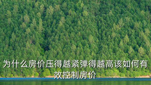 為什么房價壓得越緊彈得越高該如何有效控制房價