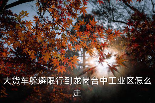 大貨車躲避限行到龍崗臺中工業區怎么走