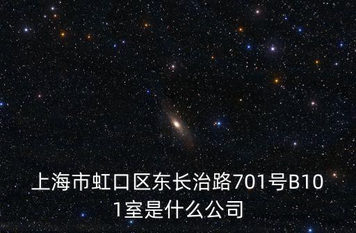 上海市虹口區東長治路701號B101室是什么公司