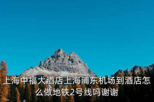 上海市中福灑店，上海哪個區域有這家店