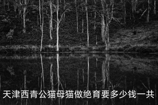 天津西青公貓母貓做絕育要多少錢一共