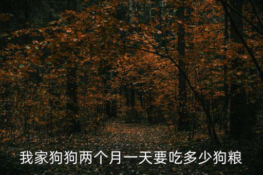 兩個月幼犬吃狗糧吃多少，2個多月的小哈每次喂多少粒狗糧呢