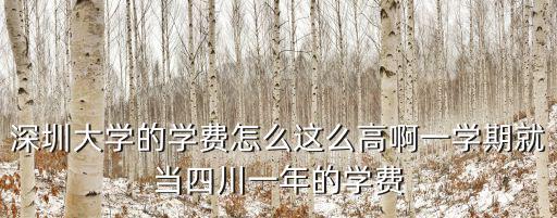 深圳大學的學費怎么這么高啊一學期就當四川一年的學費