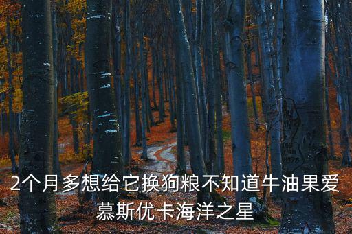 2個月多想給它換狗糧不知道牛油果愛慕斯優卡海洋之星